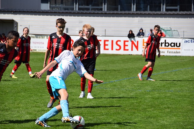 但多数体育 但多数体育