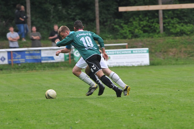 训练与科学 训练与科学