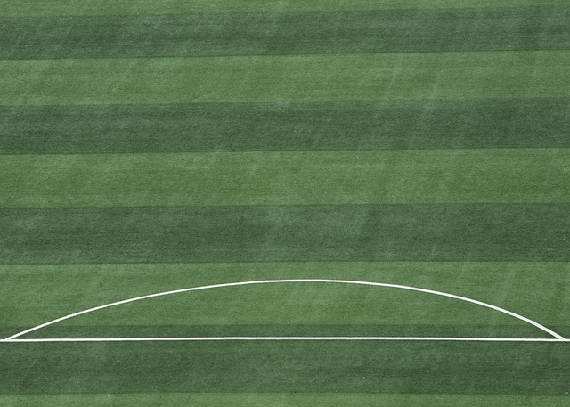 使得球队有 使得球队有