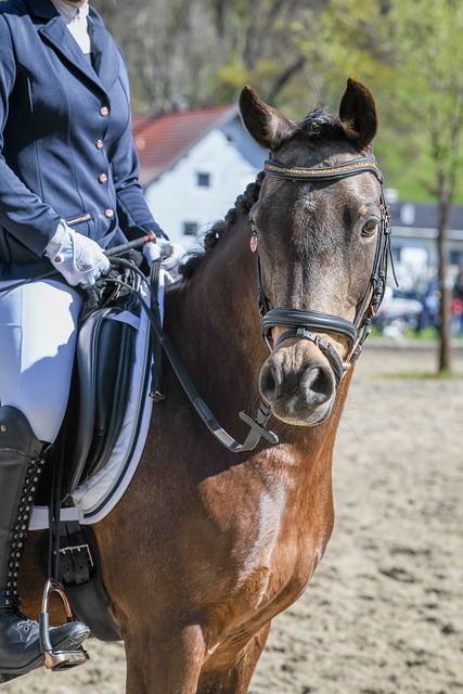 从商业角度 从商业角度