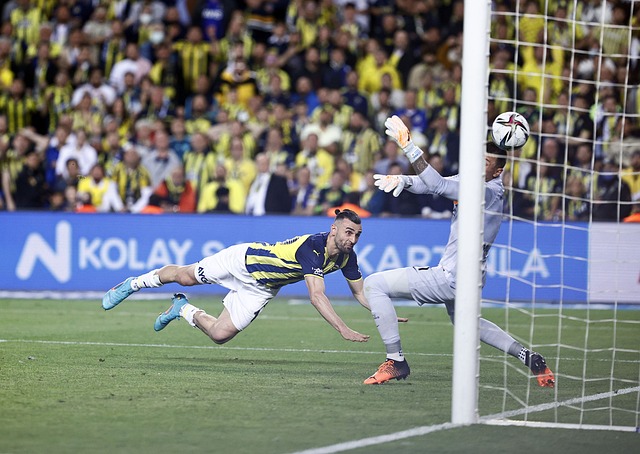 在项目资源 在项目资源