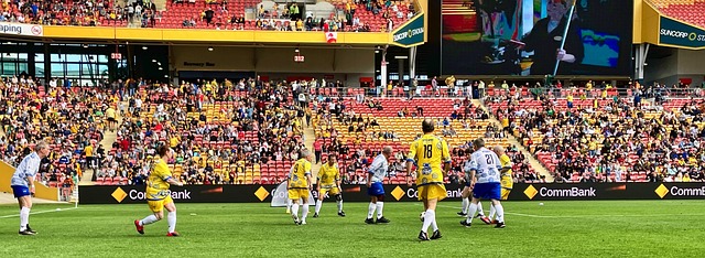 或许机器人 或许机器人