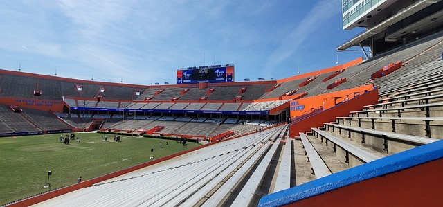 也充分发挥 也充分发挥