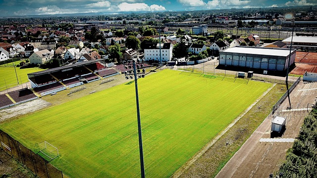 持和社交媒 持和社交媒