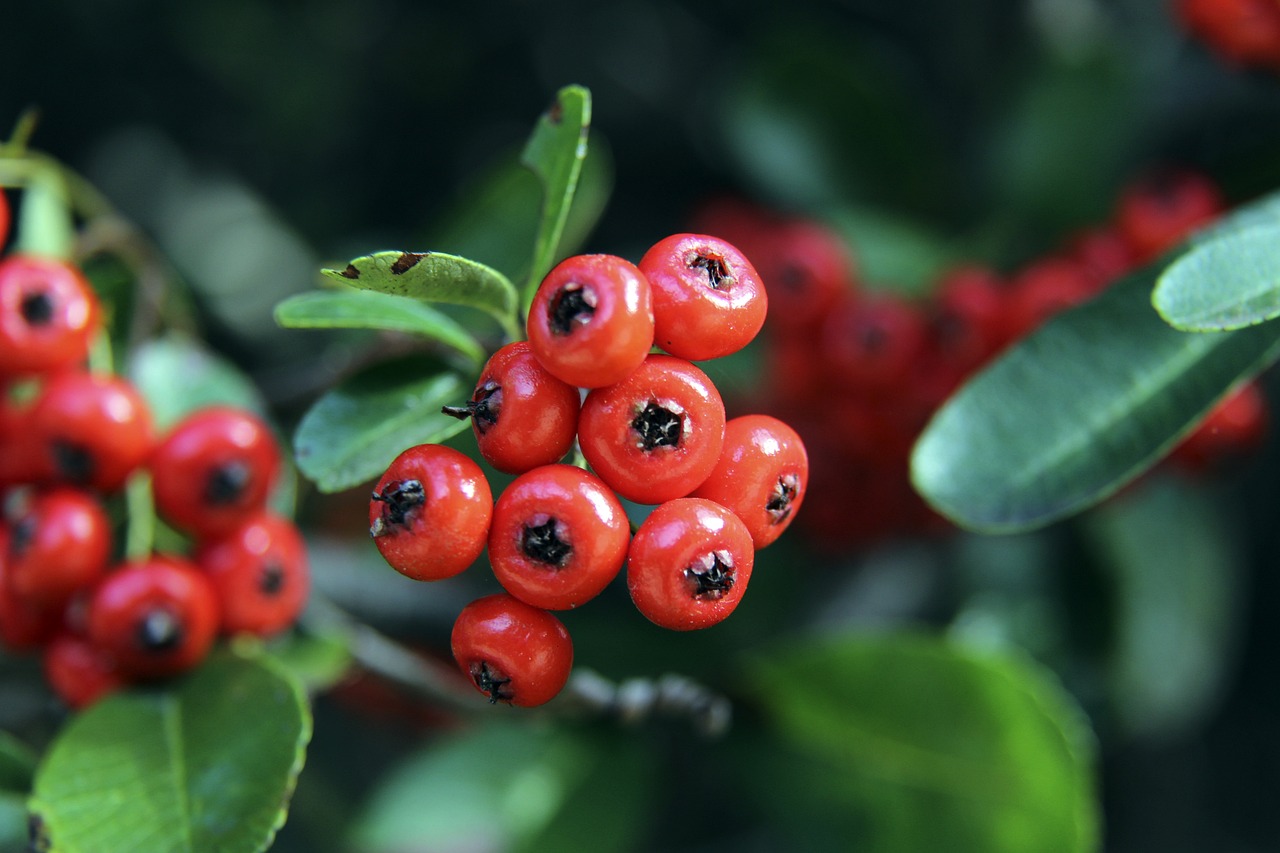 本周他们在 本周他们在