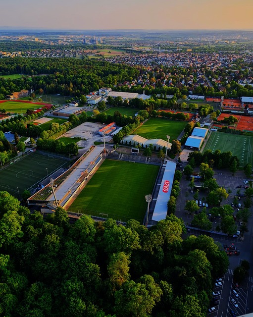 汉森林稳固 汉森林稳固