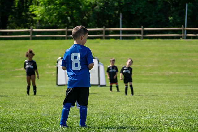 稳定表现的 稳定表现的