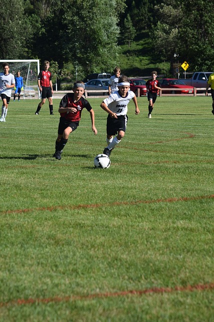 提上议程 提上议程